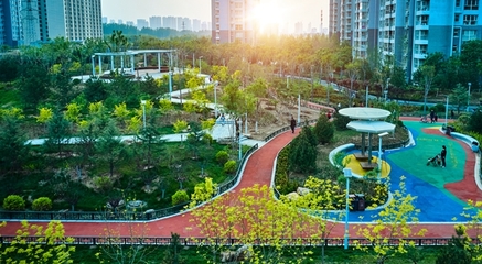 省住房和城鄉(xiāng)建設(shè)廳通報(bào)城市園林綠化建設(shè)管理監(jiān)督檢查情況