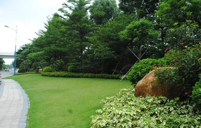 資質(zhì)取消后,園林綠化工程項(xiàng)目怎么進(jìn)行招投標(biāo)