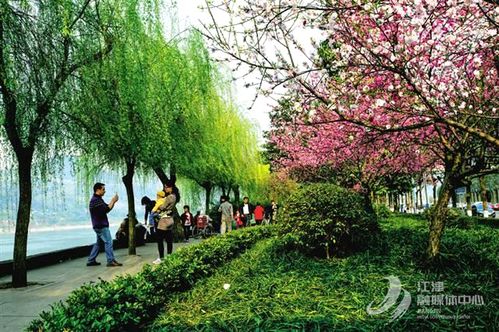 百圖見證江津黨史丨創(chuàng)建重慶山水園林城市