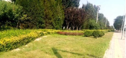北京推動(dòng)節(jié)水型園林綠化建設(shè)