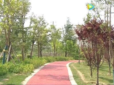 【創(chuàng)城進(jìn)行時(shí)】菏澤又新增一條景觀帶,園林綠化建設(shè)讓城市更加美麗宜居!