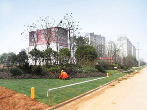 杭州藍天園林生態(tài)科技股份 園林綠化苗木 園林景觀設(shè)計 園林工程建設(shè) 城市園林綠化 風(fēng)景園林設(shè)計 建筑景觀 景觀規(guī)劃 園林研究教育