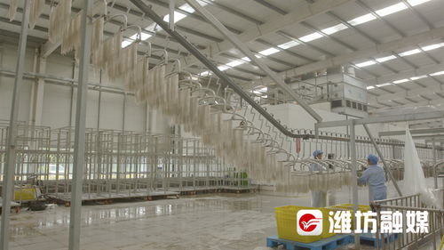 濰觀 濰坊安丘 工業立市 背后的卓越力量